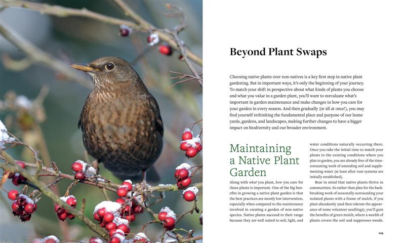 Plant This, Not That