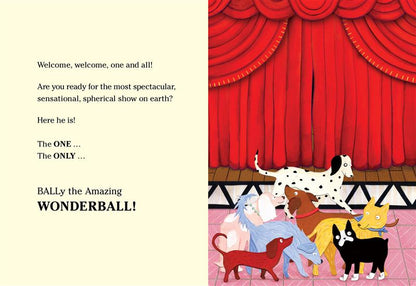 BALLy the Amazing Wonderball