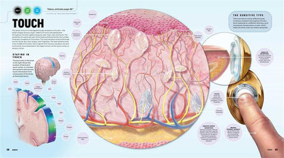 Discover: The Human Body (Ready Activated)