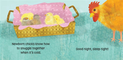 Chicks Know &amp; Grow
