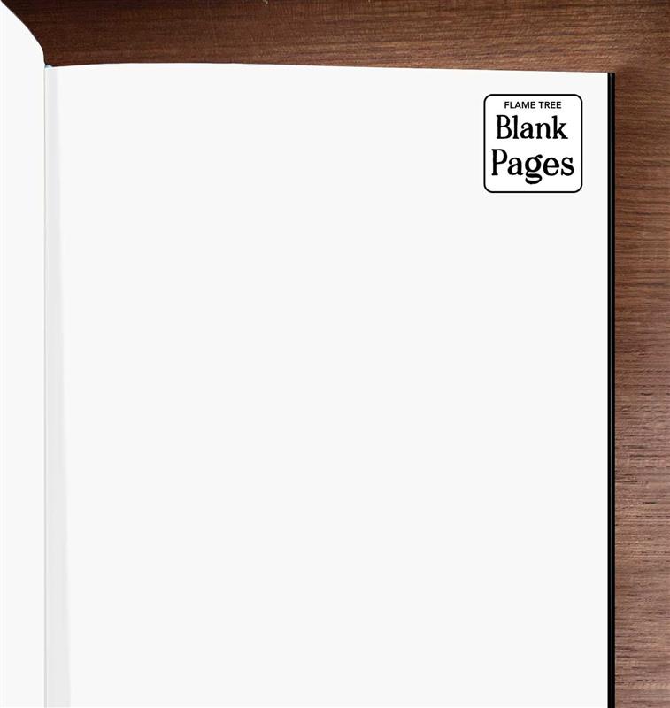 Jade Mosinski: Bee (Blank Sketch Book)