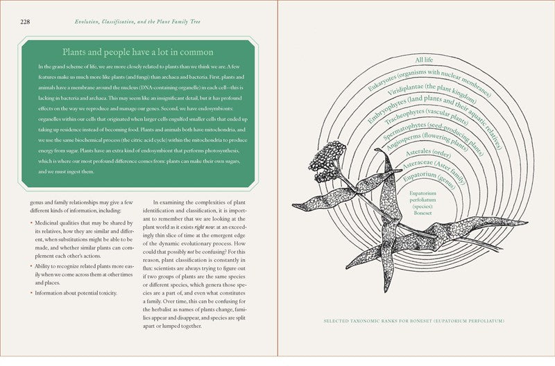 Botany for Herbalists