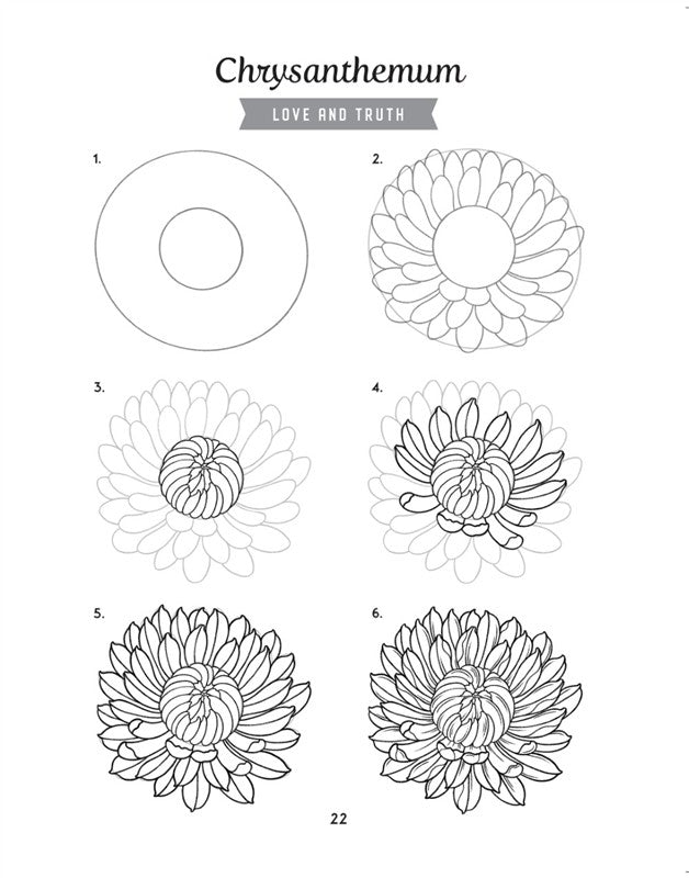 How to Draw the Language of Flowers