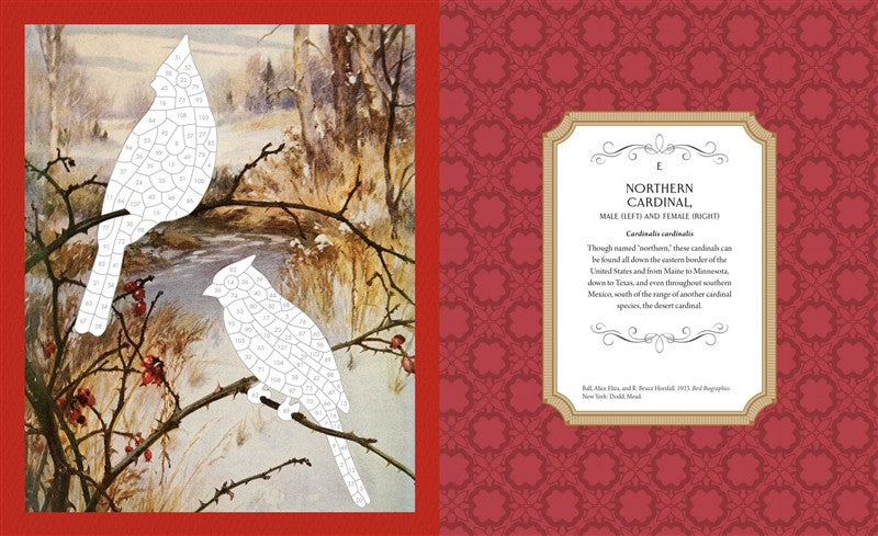 Museum Mosaics: Birds of the Smithsonian