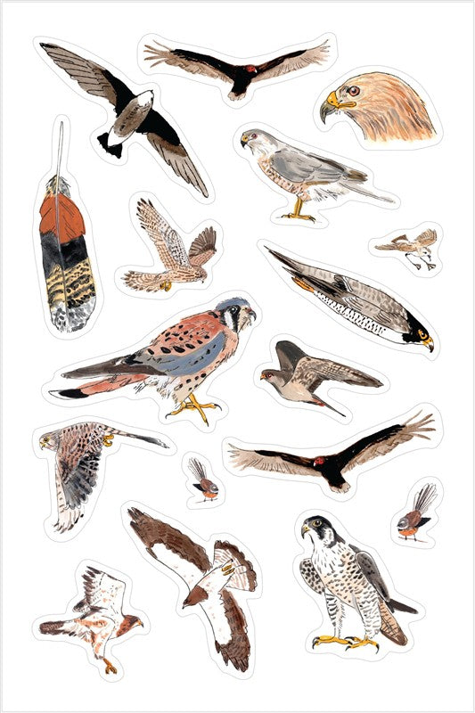 Bird Anatomy Sticker Book
