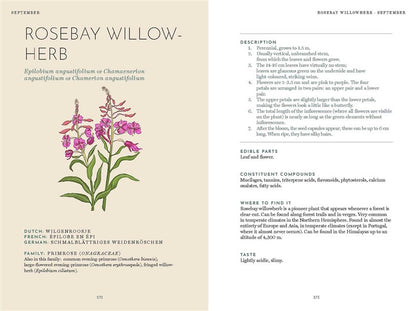 The Foraging Book