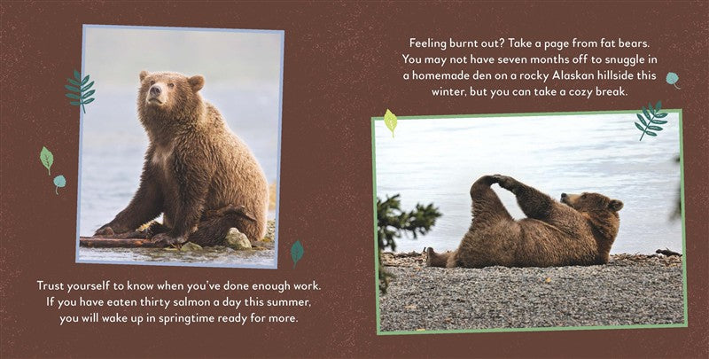 Fat Bear Self-Care