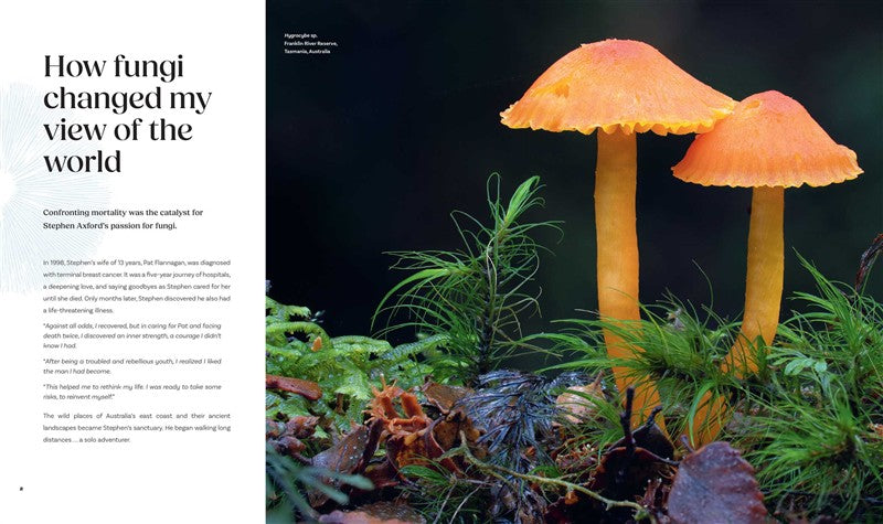 Planet Fungi