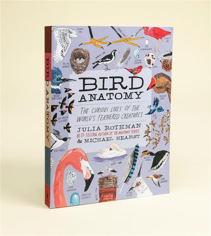 Bird Anatomy