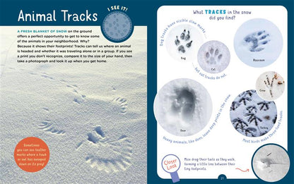Backpack Explorer: Winter Walk