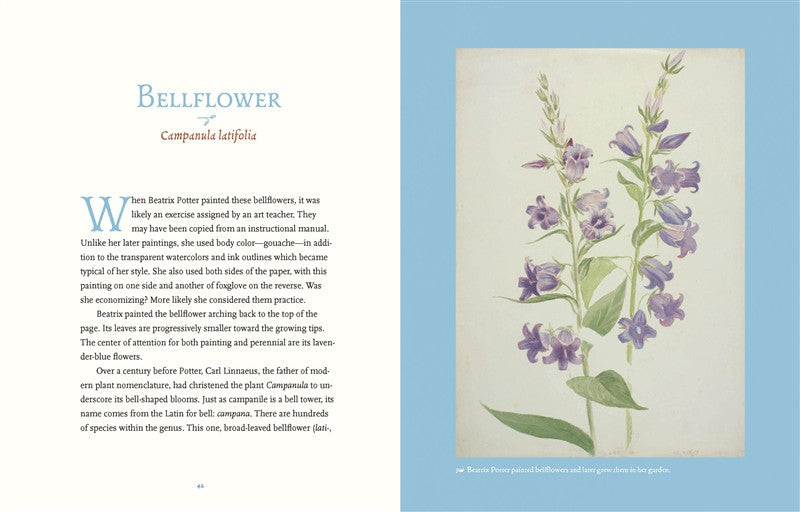 Beatrix Potter’s Botanical