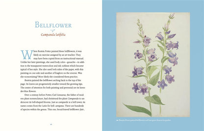 Beatrix Potter’s Botanical