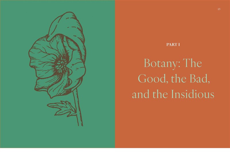 Botany for Herbalists