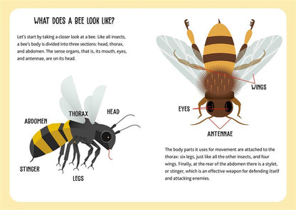 Eco Play: Bees
