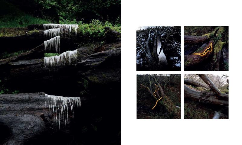 Andy Goldsworthy