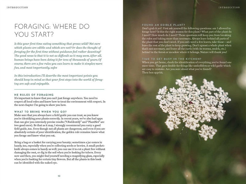 The Foraging Book