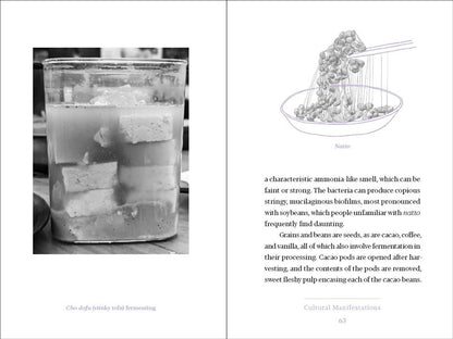 Fermentation