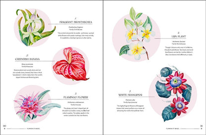 The Illuminated Book of Blooms