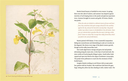 Beatrix Potter’s Botanical
