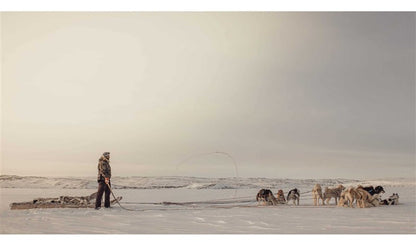 Echoes of the Pack