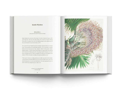 RHS Botanical Illustration
