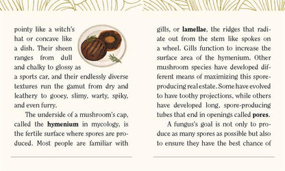 Mushrooms: A Wooden Magnet Set