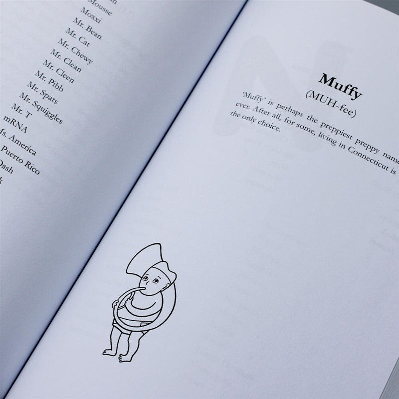 The Terrible Baby Name Book