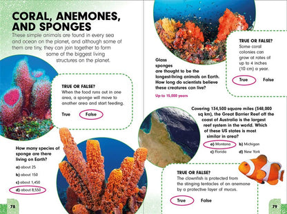 Sneaky Facts: Animal Kingdom