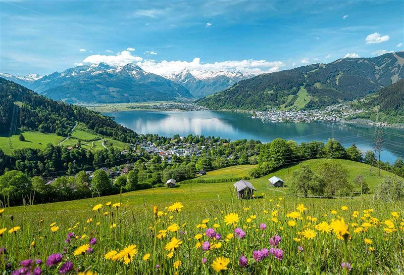 The Wildflower Travel Book