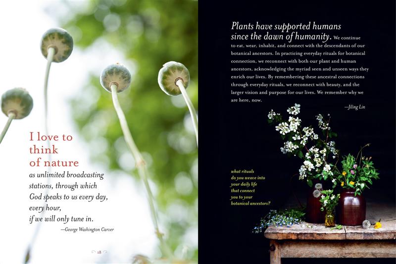 The Generosity of Plants