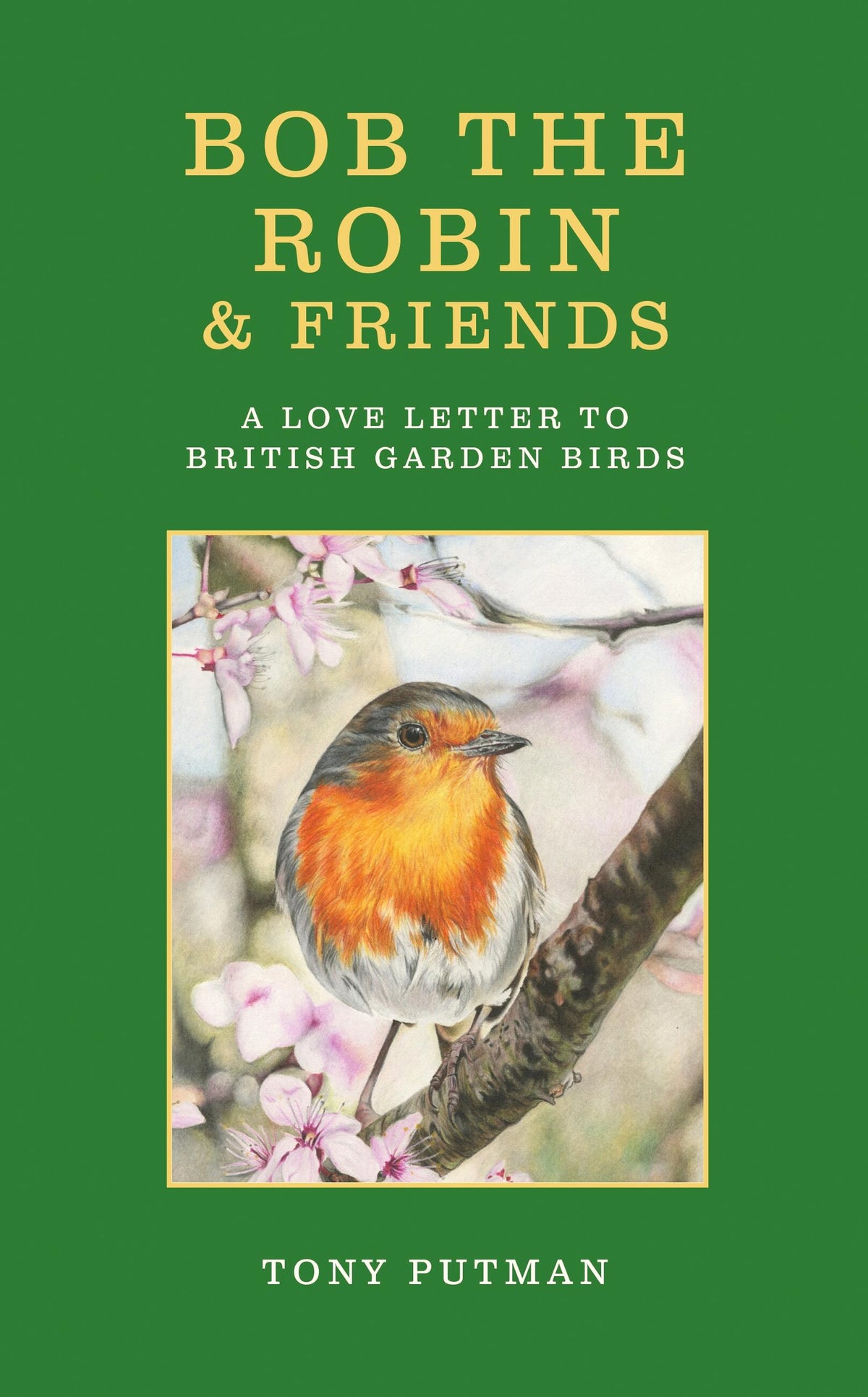 Bob the Robin &amp; Friends