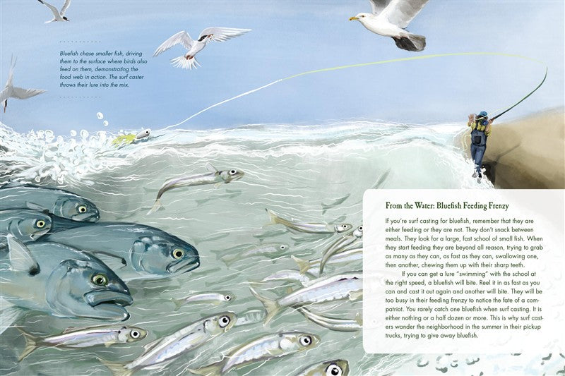 To Catch a Fish