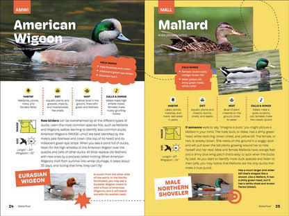 Birds of the Pacific Northwest For Kids