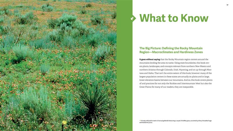 The Rocky Mountain Native Plant Primer
