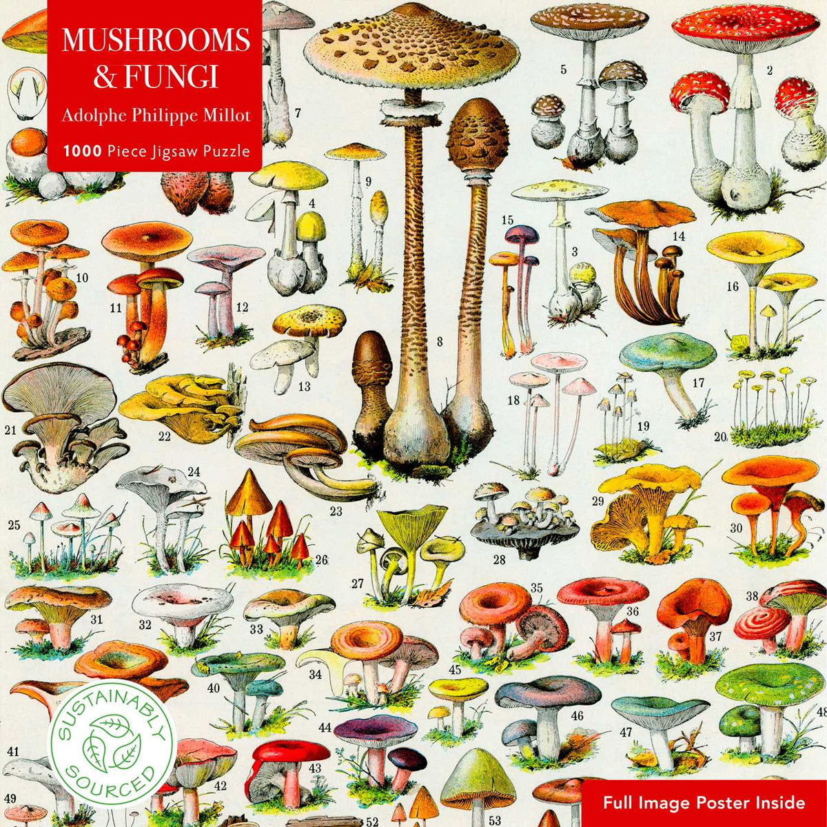 Adult Sustainable Jigsaw Puzzle Mushrooms &amp; Fungi by Adolphe Philippe Millot