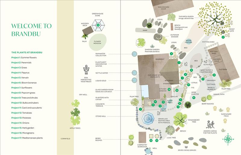 The Creative Container Garden