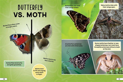 Smithsonian Explores: Bugs and Insects
