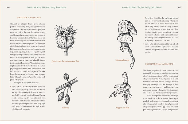 Botany for Herbalists