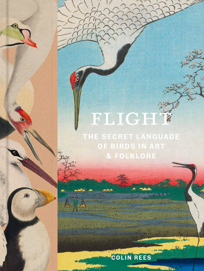 Flight