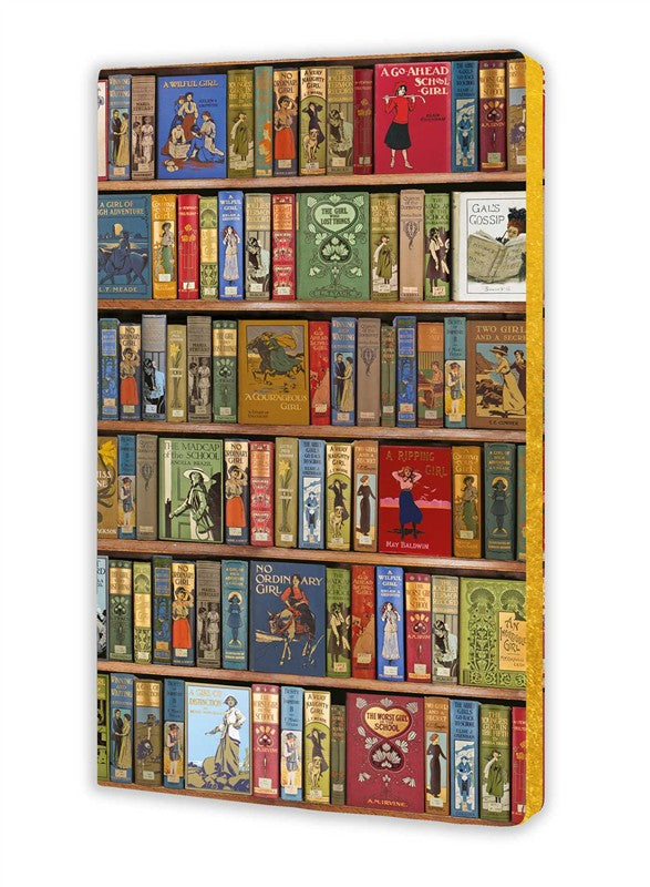 Bodleian Libraries: High Jinks Vintage Bookshelves (Soft Touch Journal)