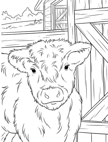 Highland Cow Coloring and Sticker Book