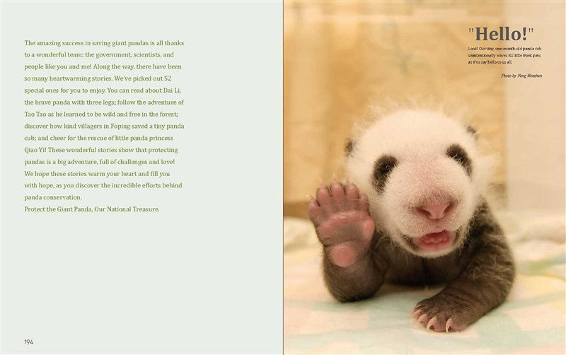 Giant Panda