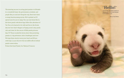 Giant Panda