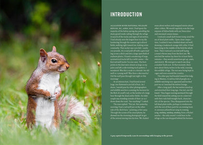 Wildlife of the Southeast