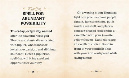 The Witches' Wealth Spell Book