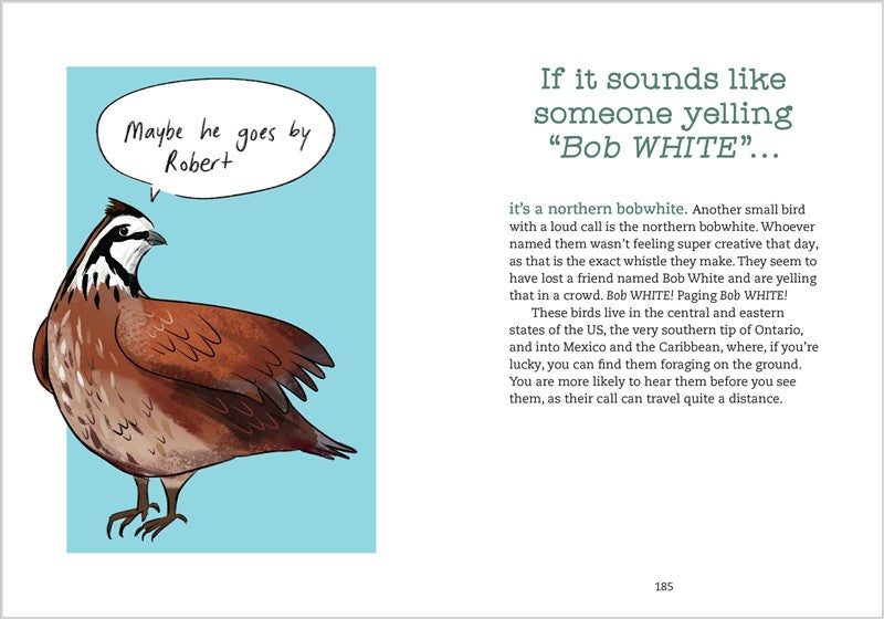 Bird Talk