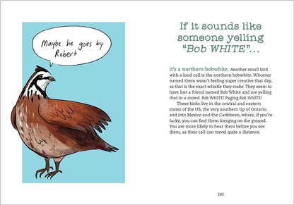 Bird Talk