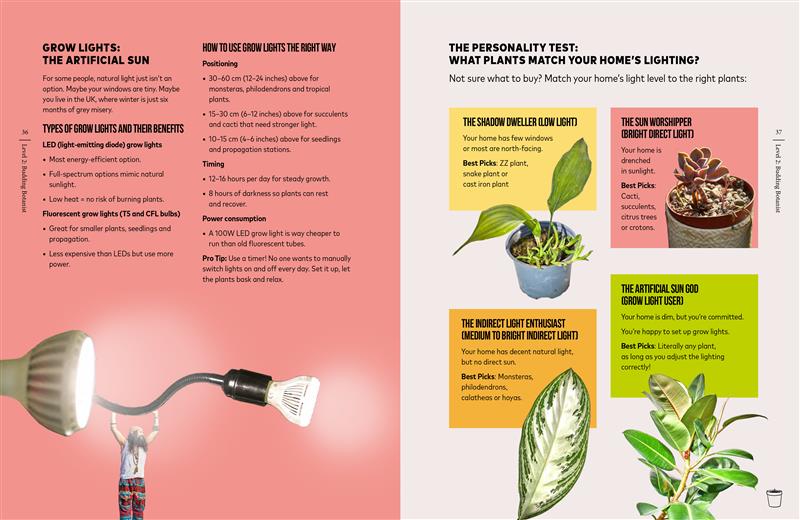 You're Overwatering It!