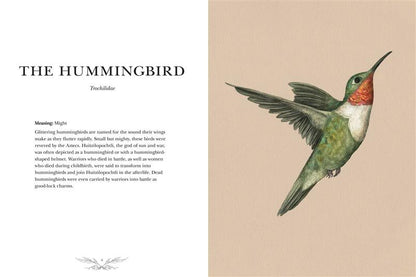 Ornithography