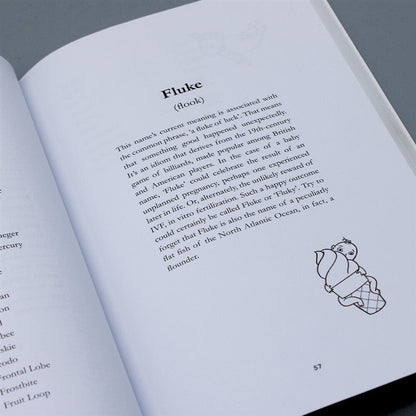 The Terrible Baby Name Book